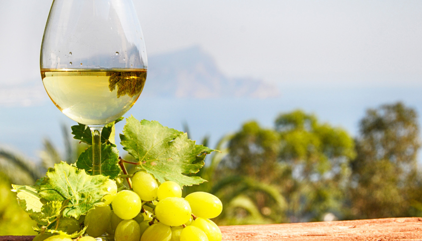 Les vins blancs de Chablis que vous devez absolument goûter !